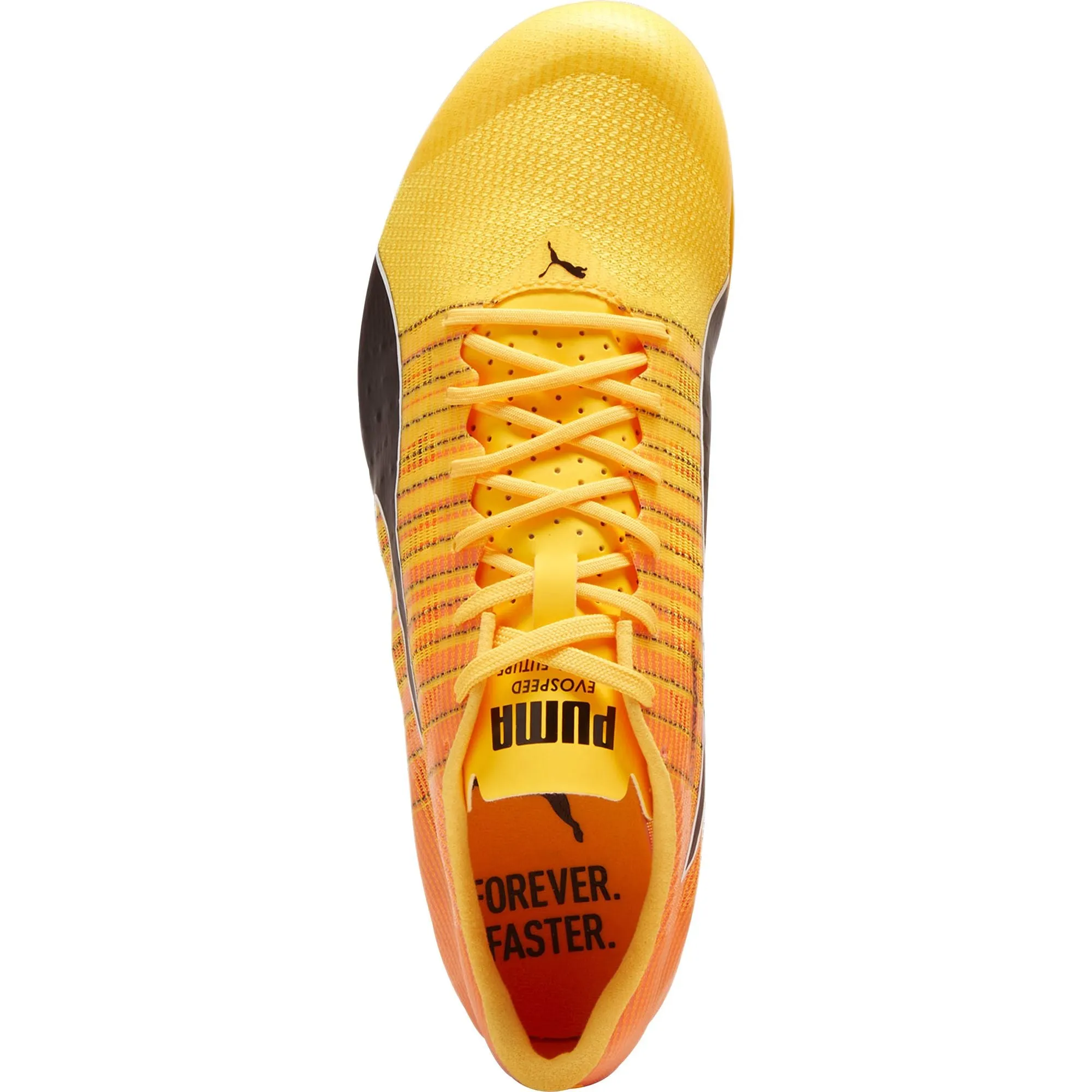 Puma evoSpeed Future 6 Running Spikes - Orange